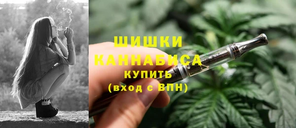 дживик Инсар