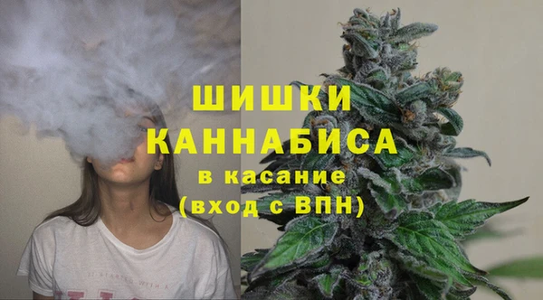 прущие крисы Инта