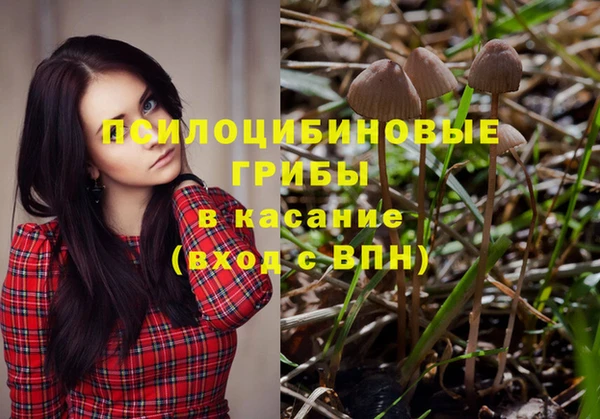 прущие крисы Инта