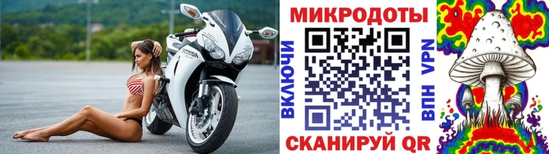 наркотики  Иркутск  Галлюциногенные грибы Psilocybe 